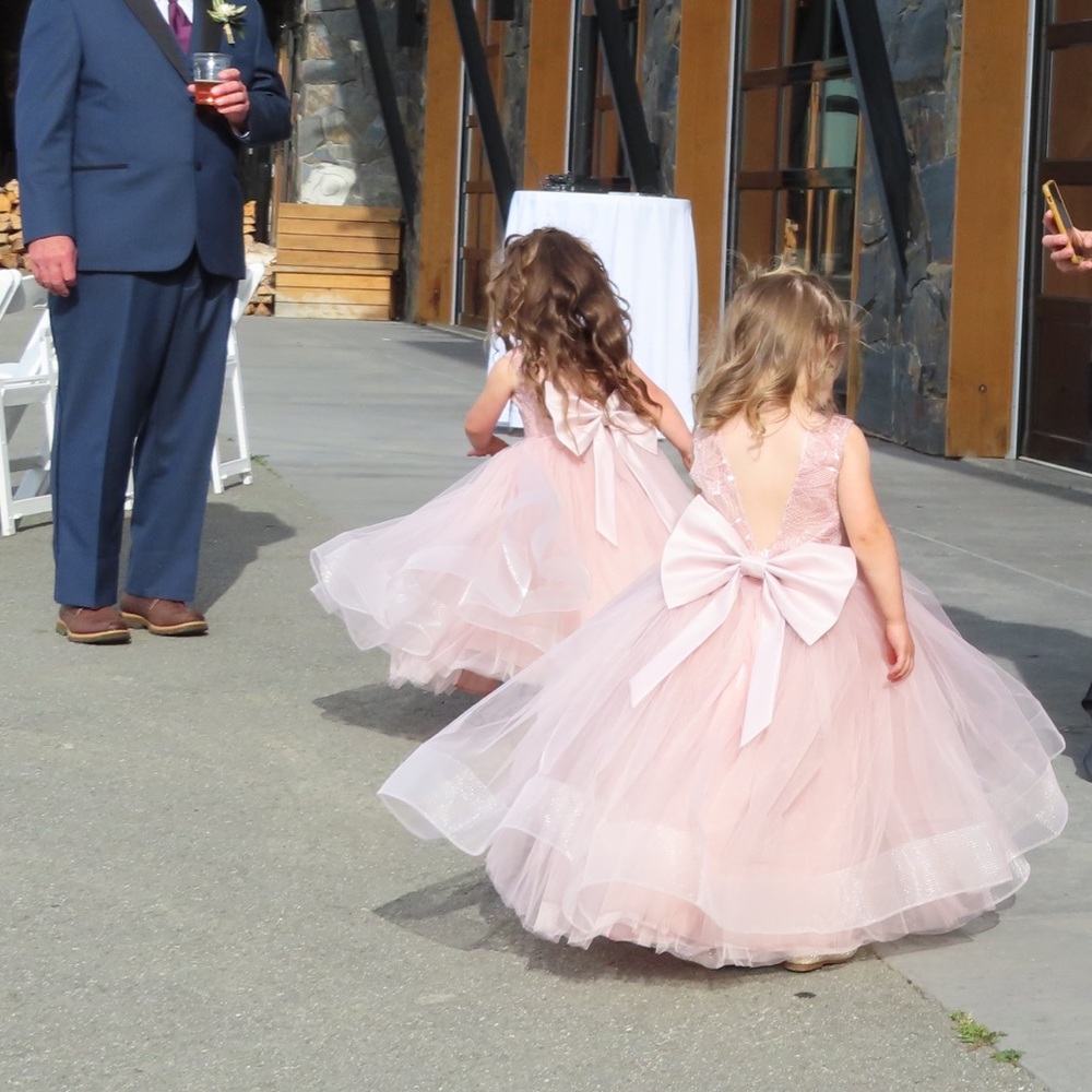 Dusty Rose Flower Girl Dress 2T and 4T